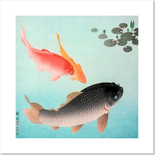 Common and Golden Carp Posters and Art